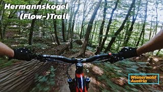 Hermannskogel (Flow-)Trail - Mountianbike Wien...