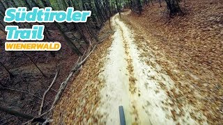 Südtiroler Trail - Wienerwald Trails (Canyon Lux)