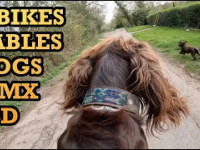 E BIKES, COFFE TABLES & MX ENDURO LSD !