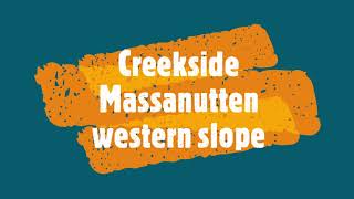 Creekside Trail Massanutten western slope