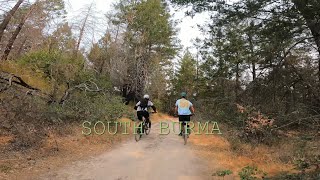 Burma’s Live Oak & Rough Go | Annadel...