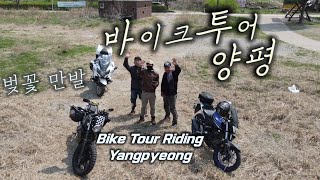 MTB 싱글 처음 타는 기분 / 봄날...