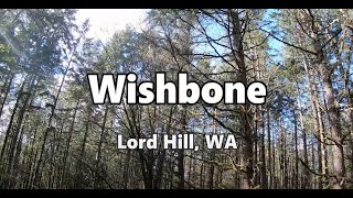 Wishbone | Mountain Bike Lord Hill, WA
