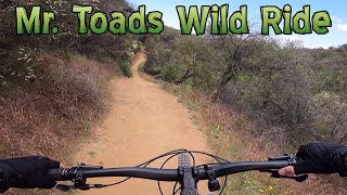Mr. Toad's Wild Ride - Mountain Biking -...