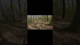 Enjoying berms and jumps on the home trail...