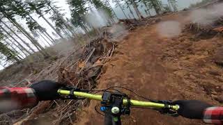 Blue Ringer - First Tracks