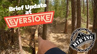 A Quick Everstoke Update - Moving Forward