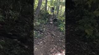 Pinkbike Friday Fails  #218 Top 5: 3rd place |...