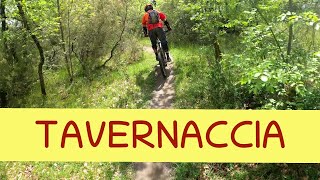 MTB Roveta 23.04.2022 sentiero TAVERNACCIA -...