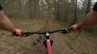 NWShredCrew - Sherwood Forest - Cardiac Bypass...
