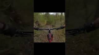 Freeride ⛰️ in Bisamberg | #Shorts