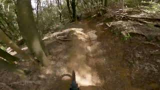Brigidino - Tirli Trail Park