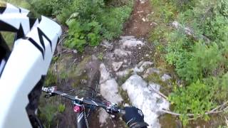 Upper Goldmember 2012