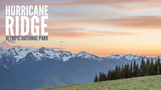 Hurricane Ridge - Olympic National Park -...