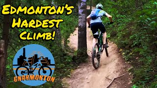 Mustang, Edmonton's Hardest Climb!