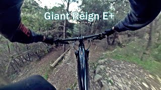 Test Giant Reign E+ 2022 On Technical Downhill