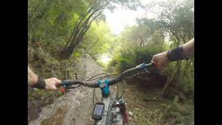 Up The Guts #3