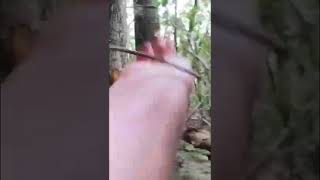 HUGE MTB CRASH  #shorts #mtb