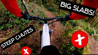 Best trails ever!