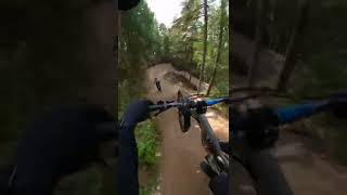 A Rollercoaster for Bikes