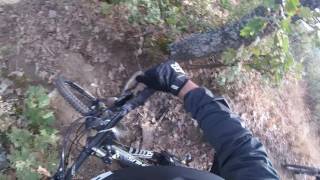 BIKERIDERS| MOUNTAIN BIKE CRASH