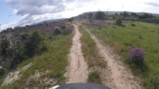 BIKERIDERS| MOUNTAIN BIKE