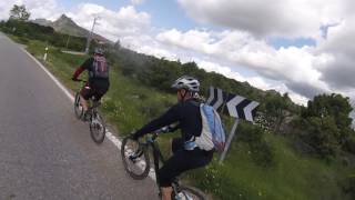 BIKERIDERS| MOUNTAIN BIKE
