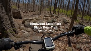 Ringwood State Park Black Bear Trail Apr 29, 2022