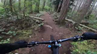 Blender // Laburnum, Qualicum Beach, B.C