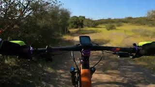 Pond Backside - Penasquitos Canyon, San Diego