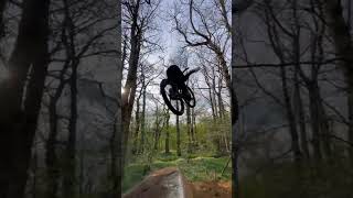 Mulch is Back in Action at Holdshott Trails