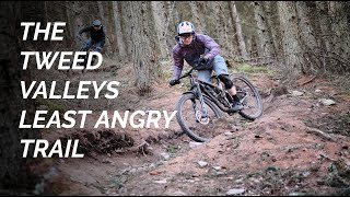 Angry Sheep, Innerleithen's best beginner...