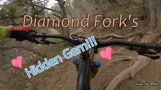 Utah County's Hidden Gem Diamond Fork 5th...