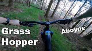 Grass Hopper - Aboyne 2022