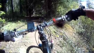 Mountain Biking Fernie BC Swine Flu
