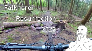 Let's Ride MTB - Heidelberg // Falknerei...