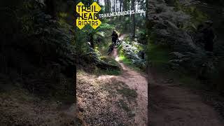 CASE CLOSED 02 ⚖️ #shorts – Trailhead Riders