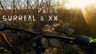 Palos Upper Canal: Surreal and XX