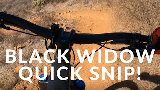 San Diego Mountain Bike Trail Black Widow at...