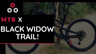 San Diego Mountain Bike Trail Black Widow on...