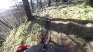Bike park dent. Snapper