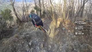 Rebel Yell - Finale Ligure | LINES