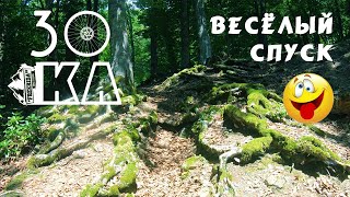 Весёлый спуск (2020)