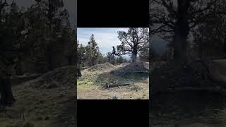 Pinkbike Friday Fails  #220  | #Shorts