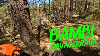 ♀️ ⛰ Trialera Bambi | Navacerrada...