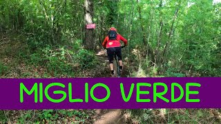 MTB Monte Morello 07.05.2022 sentiero MIGLIO VERDE