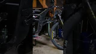 WTF IS THAT?