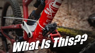 This was interesting... || Mountain Bike Trail...