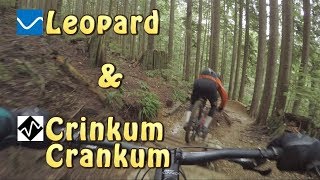 Best Mountain Biking in North Vancouver, BC -...