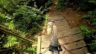 Trail Mix @ Oropi Grove MTB Park